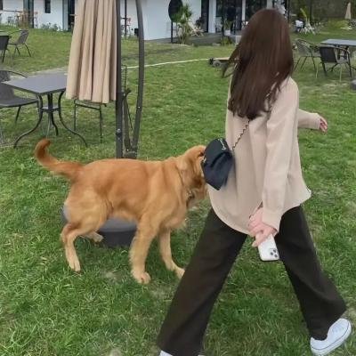 惹火青春